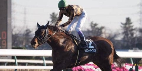 【カーバンクルS】快速モズスーパーフレアが逃げ切る！武豊は本日2勝目