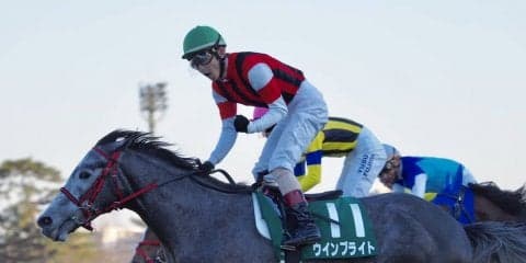 【中山金杯】中山巧者ウインブライトが差し切る！