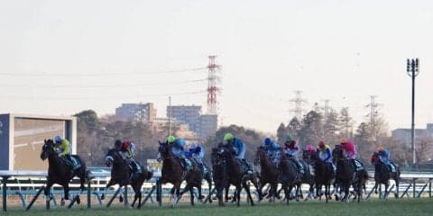 【中山金杯】藤岡佑「内枠が欲しかった」ジョッキーレース後コメント