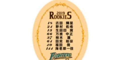日ハムが9日から鎌ケ谷で新人合同自主トレ開始　ファンに内野スタンド無料開放