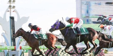 【シンザン記念】ヴァルディゼールが最内強襲でデビュー2連勝