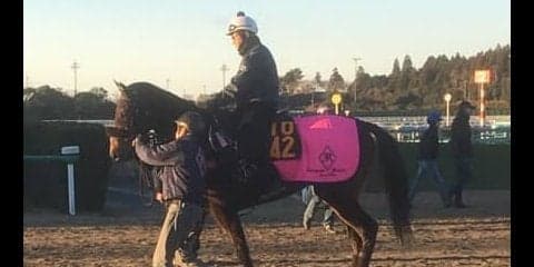 【フェアリS】フィリアプーラ 2戦続けて上がり最速の切れ者