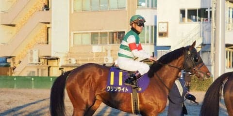 クリソライト号が競走馬登録抹消