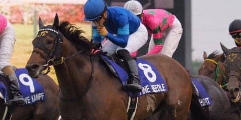 ファインニードル号が競走馬登録抹消