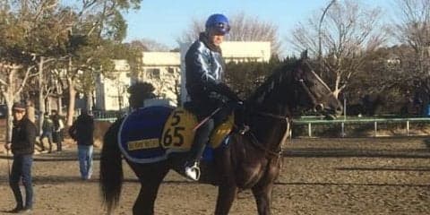 【日経新春杯】グローリーヴェイズ 京都コースでは安定した走り