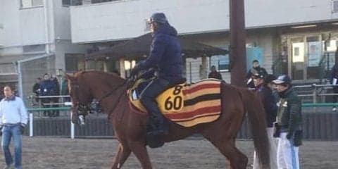 【日経新春杯】シュペルミエール 馬券圏外一度だけの安定感が売り