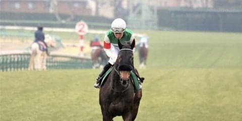 【フェアリーS】丸山「確実に脚を使ってくれる」フィリアプーラ重賞初制覇！