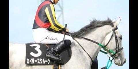やや低レベルの京成杯。１勝馬でも勝負になると穴党記者は４頭を推す