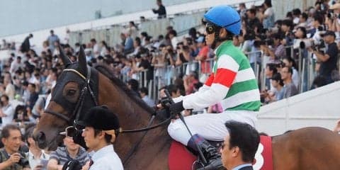 ステファノス号が競走馬登録抹消