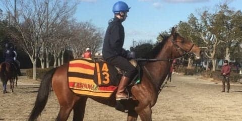 【京成杯】ランフォザローゼス 短期放牧を挟んで順調