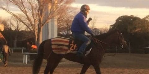 【京成杯】ダノンラスター  重賞でも通用する器