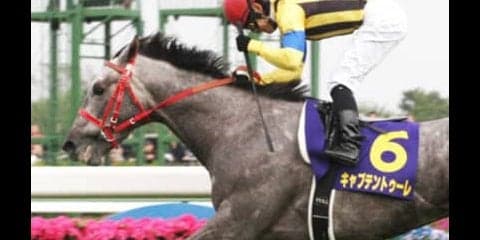 繁栄の一族の系譜。シルヴァーソニックはクラシック制覇を狙える器か