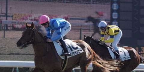 【中山5R】ミモザイエローが直線抜け出して快勝！