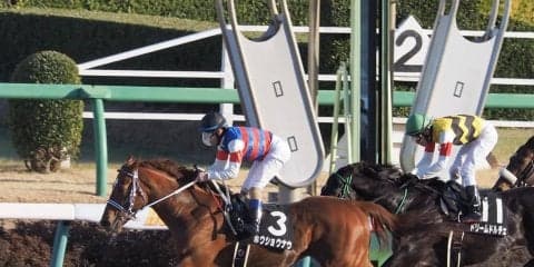 【ジャニュアリーS】ホウショウナウが直線一気でゴボウ抜き！