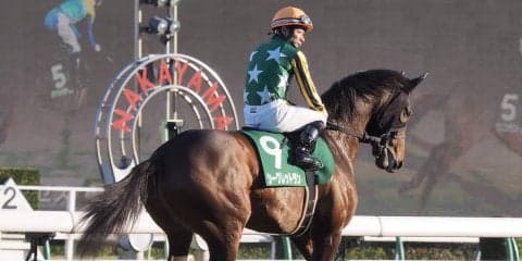 【京成杯】内田博「途中から厳しいレースに…」レース後ジョッキーコメント