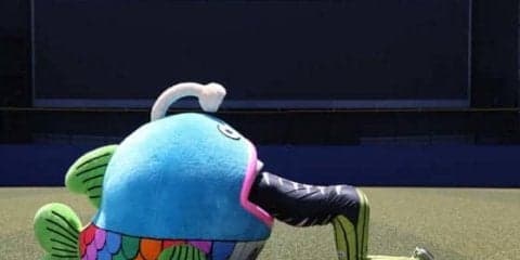 ロッテ謎の魚が寿司屋レアードに異例のお願い「私はとてもまずいです」