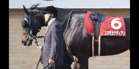 １番人気が鉄板の東海Ｓはヒモ穴狙い。地味系３頭がド派手な仕事するぞ