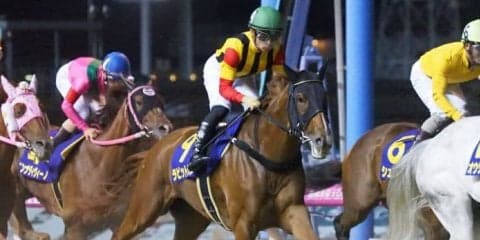 【TCK女王杯】JRA出走予定馬