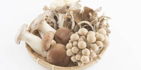 免疫力を高める多糖類【βｰグルカン】