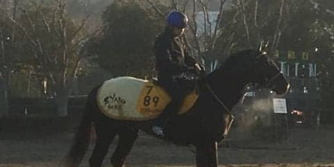 【AJCC】ジェネラーレウーノ  得意の中山で反撃の期待