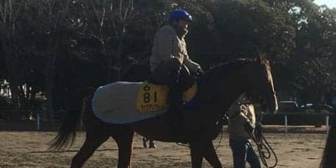 【AJCC】サクラアンプルール  蛯名と久々のコンビで重賞V狙う