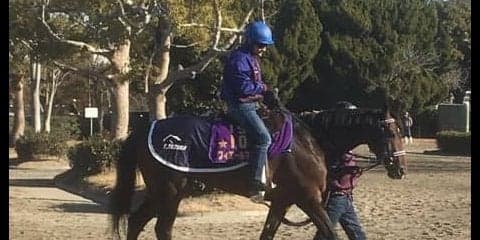 【AJCC】フィエールマン  ルメール「コンディションの心配はありません」