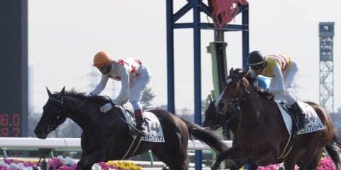 【中山6R/新馬戦】ミッキーフォンテンが馬群を割って抜け出す！