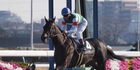 【菜の花賞】コントラチェックが逃げ切りで2勝目