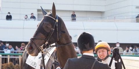 日曜中山６Ｒ新馬はディープインパクト産駒のミッキーフォンテンがデビュー勝ち