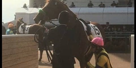 日曜中山４Ｒ新馬は伏兵ヘッドオブステートが７馬身差の圧勝