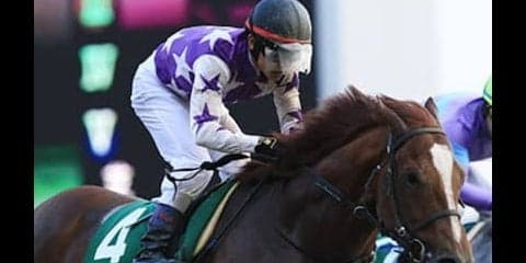 サンライズノヴァとユラノト。根岸Ｓは５歳馬２頭でいけいけゴーゴーだ