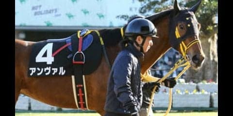 荒れるシルクロードＳ。今の荒れた京都に合う「荒ぶる３頭」がいた