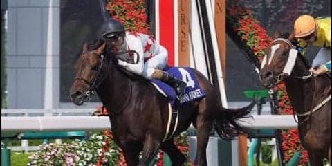 ミッキーロケット号が競走馬登録抹消