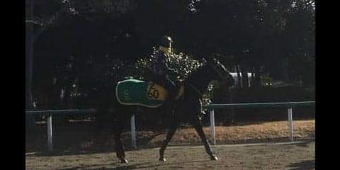 【愛知杯】ウラヌスチャーム  連勝で本格化ムード