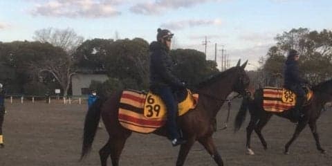 【愛知杯】コルコバード  脚力は牡馬顔負け