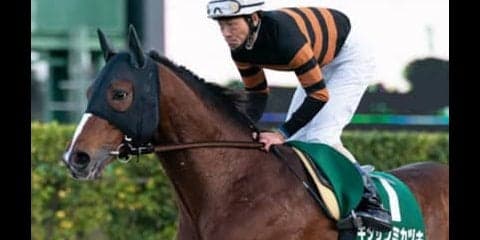 ２強に注目集まる根岸Ｓだが、異色の存在２頭が波乱を起こすかも…