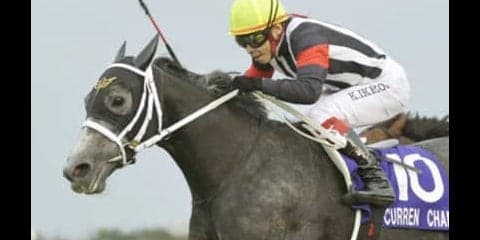 偉大すぎるスプリント王と女王の子。カレンモエの潜在能力に期待大だ