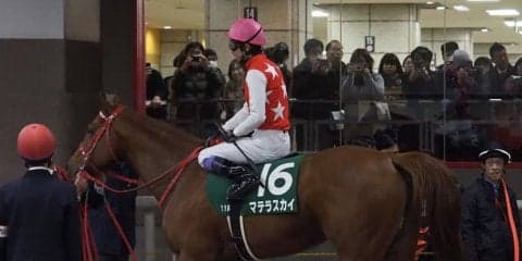 【根岸S】武豊「乾いたダートは合わないね」マテラスカイ失速