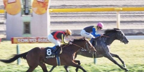 【早春S】アイスバブルが連勝でオープン入り！