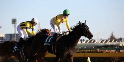 【根岸S】ルメール「勝った馬が強い」レース後 ジョッキーコメント