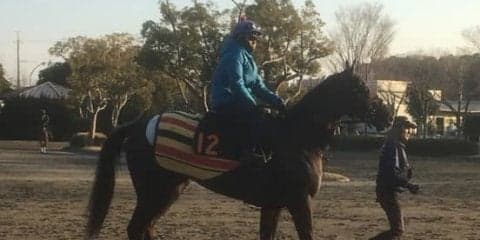 【きさらぎ賞】アガラス 自在性高く能力上位