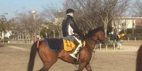 【東京新聞杯】ロードクエスト  G3では実績上位