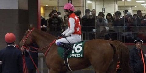 2019ドバイワールドカップデー 日本馬の招待受諾