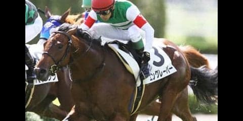 少頭数のきさらぎ賞は中穴狙い。人気の盲点となる２頭にウマ味あり