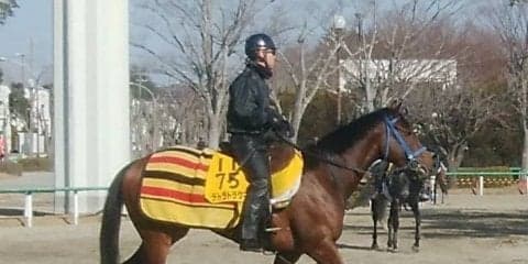 【東京新聞杯】テトラドラクマ 古馬の牡馬相手がカギ