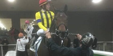 日曜東京４Ｒ新馬はルメール騎乗のフィードバックが制す