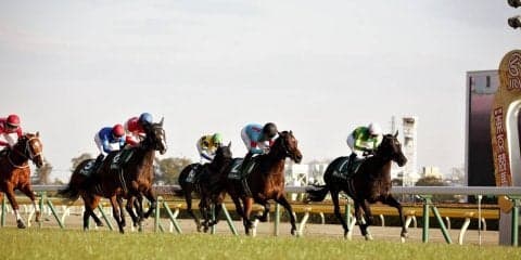 【東京新聞杯】ルメール「少し重かった」レース後関係者コメント