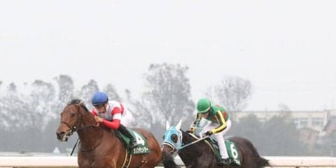 【きさらぎ賞】川田「想像以上に良い走りをしてくれた」ダノンチェイサーが重賞初V！