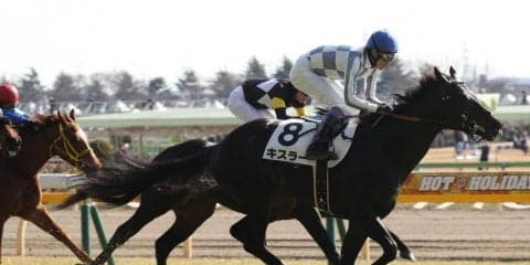 【東京6R/新馬戦】武豊 キスラーが直線一気の差し切り！