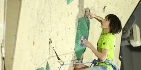 明日よりチケット発売開始／第32回リードジャパンカップ【2019年3月開催】